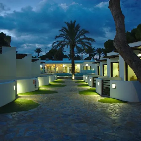 Alidreams Carmen 坎佩略