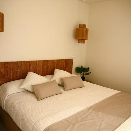 Alidreams Carmen 坎佩略