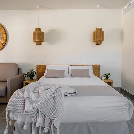 Alidreams Carmen 坎佩略