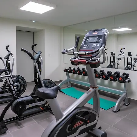 Alidreams Carmen * El Campello