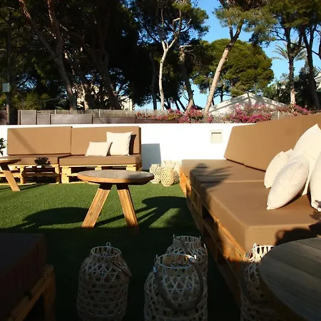 Alidreams Carmen * El Campello